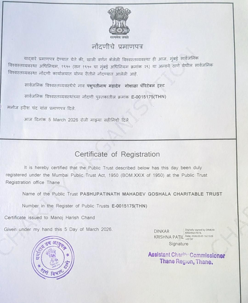 Certificate of Registration E-0015175(THN)